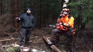 Swedish Homestead: Hur man sköter en skog